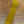 Load image into Gallery viewer, Silk Knitted Tie Mustard